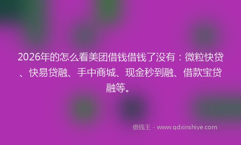 2026年的怎么看美团借钱借钱了没有：微粒快贷、快易贷融、手中商城、现金秒到融、借款宝贷融等。