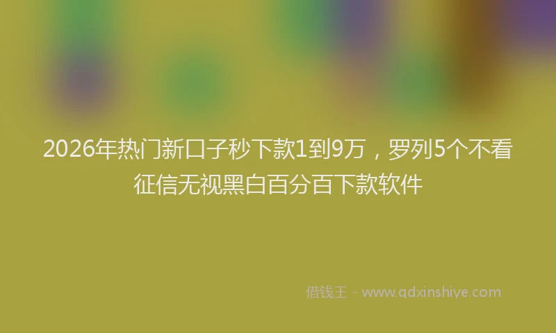 2026年热门新口子秒下款1到9万,罗列5个不看征信无视黑白百分百下款软件
