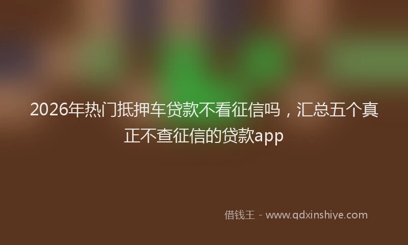 2026年热门抵押车贷款不看征信吗,汇总五个真正不查征信的贷款app