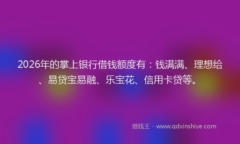 2026年的掌上银行借钱额度有：钱满满、理想给、易贷宝易融、乐宝花、信用卡贷等。