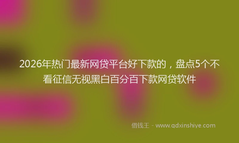 2026年热门最新网贷平台好下款的，盘点5个不看征信无视黑白百分百下款网贷软件