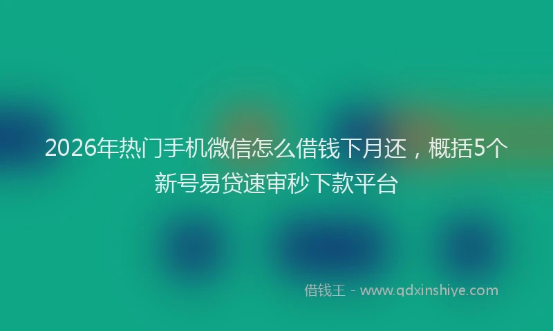 2026年热门手机微信怎么借钱下月还，概括5个新号易贷速审秒下款平台