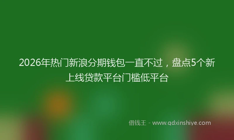 2026年热门新浪分期钱包一直不过，盘点5个新上线贷款平台门槛低平台