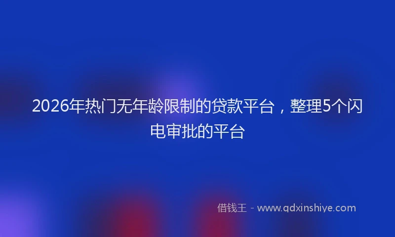 2026年热门无年龄限制的贷款平台，整理5个闪电审批的平台
