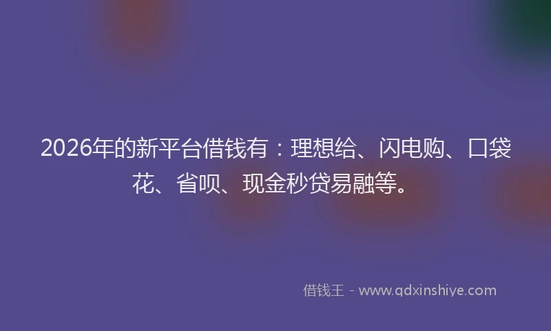 2026年的新平台借钱有：理想给、闪电购、口袋花、省呗、现金秒贷易融等。