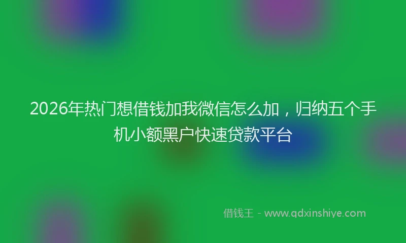2026年热门想借钱加我微信怎么加，归纳五个手机小额黑户快速贷款平台
