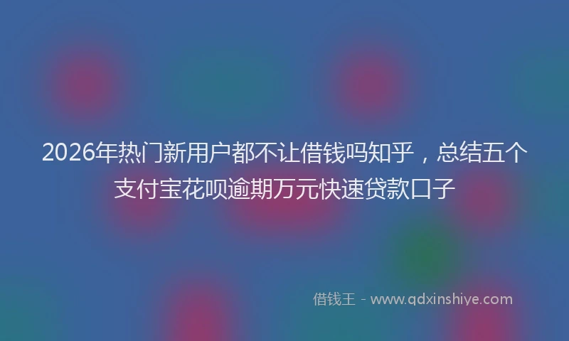 2026年热门新用户都不让借钱吗知乎，总结五个支付宝花呗逾期万元快速贷款口子