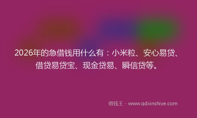 2026年的急借钱用什么有：小米粒、安心易贷、借贷易贷宝、现金贷易、瞬信贷等。