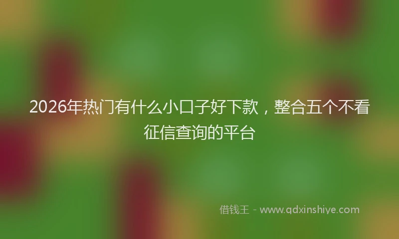 2026年热门有什么小口子好下款，整合五个不看征信查询的平台
