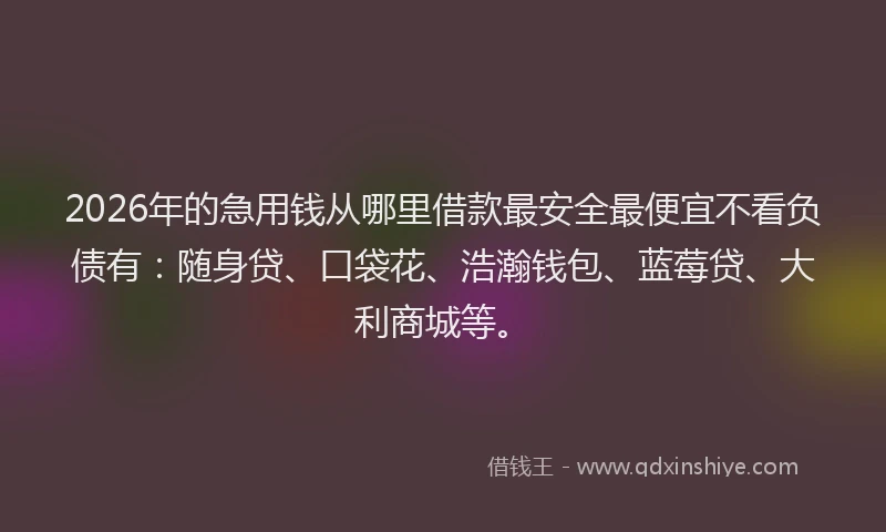 2026年的急用钱从哪里借款最安全最便宜不看负债有:随身贷、口袋花、浩瀚钱包、蓝莓贷、大利商城等。