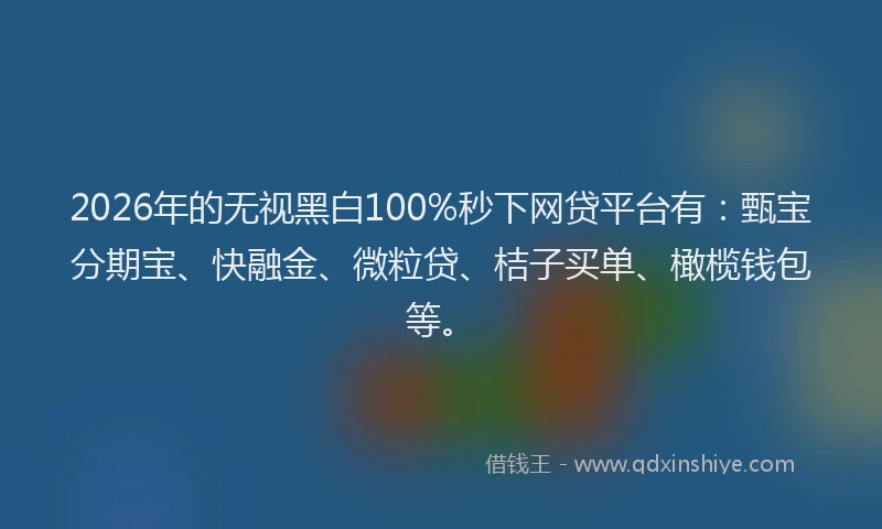 2026年的无视黑白100%秒下网贷平台有：甄宝分期宝、快融金、微粒贷、桔子买单、橄榄钱包等。