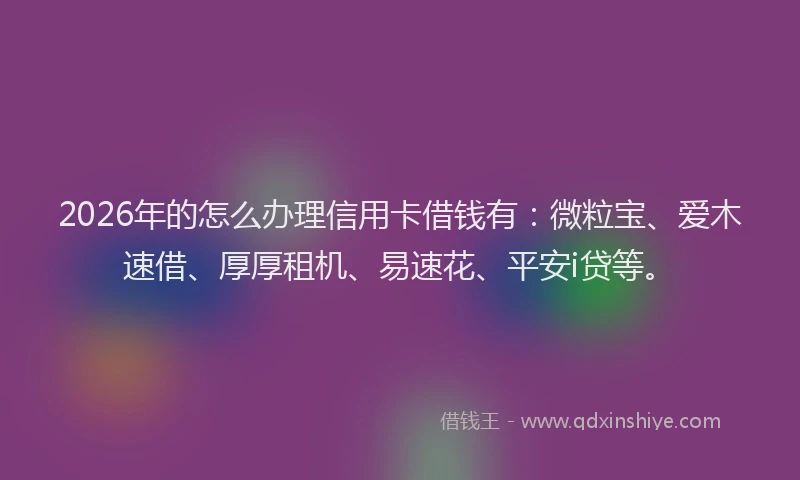 2026年的怎么办理信用卡借钱有：微粒宝、爱木速借、厚厚租机、易速花、平安i贷等。