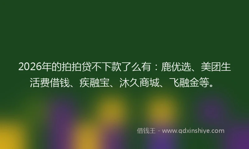 2026年的拍拍贷不下款了么有：鹿优选、美团生活费借钱、疾融宝、沐久商城、飞融金等。