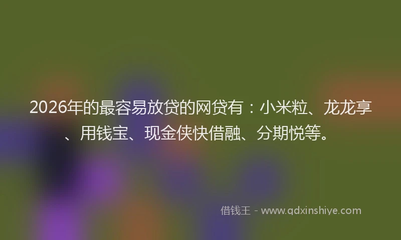 2026年的最容易放贷的网贷有：小米粒、龙龙享、用钱宝、现金侠快借融、分期悦等。