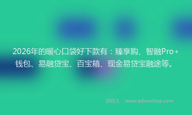2026年的暖心口袋好下款有:臻享购、智融Pro+钱包、易融贷宝、百宝箱、现金易贷宝融途等。