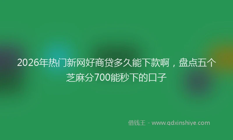 2026年热门新网好商贷多久能下款啊，盘点五个芝麻分700能秒下的口子