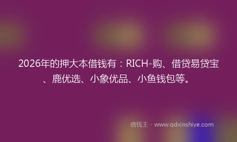 2026年的押大本借钱有：RICH-购、借贷易贷宝、鹿优选、小象优品、小鱼钱包等。