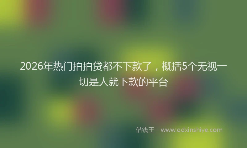 2026年热门拍拍贷都不下款了，概括5个无视一切是人就下款的平台