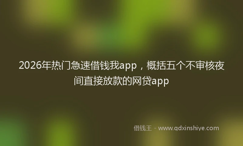 2026年热门急速借钱我app,概括五个不审核夜间直接放款的网贷app