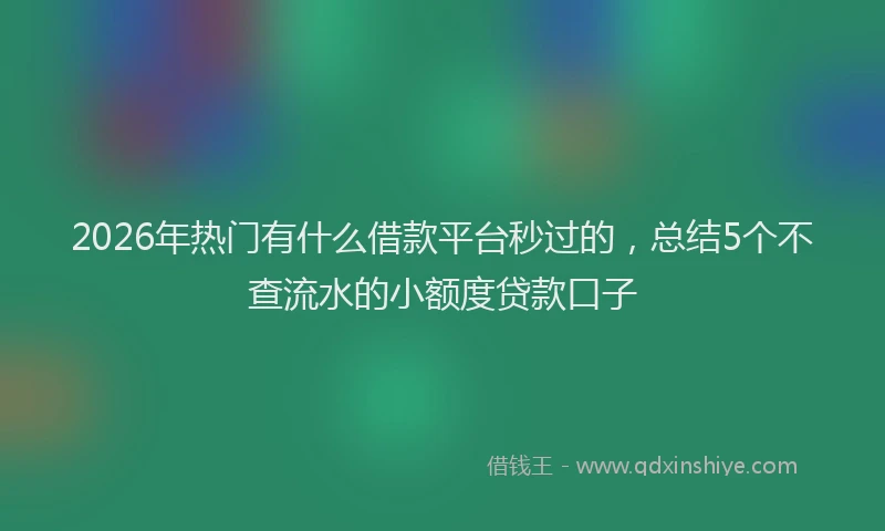 2026年热门有什么借款平台秒过的，总结5个不查流水的小额度贷款口子