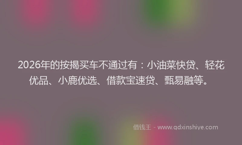 2026年的按揭买车不通过有：小油菜快贷、轻花优品、小鹿优选、借款宝速贷、甄易融等。