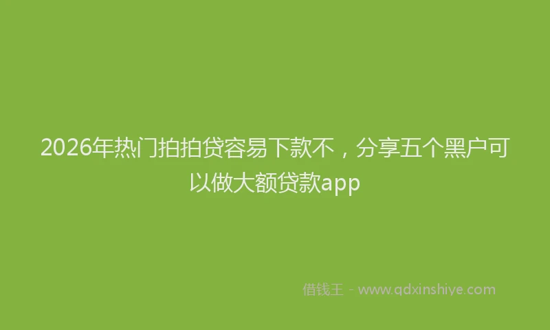 2026年热门拍拍贷容易下款不，分享五个黑户可以做大额贷款app