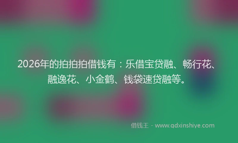 2026年的拍拍拍借钱有：乐借宝贷融、畅行花、融逸花、小金鹤、钱袋速贷融等。