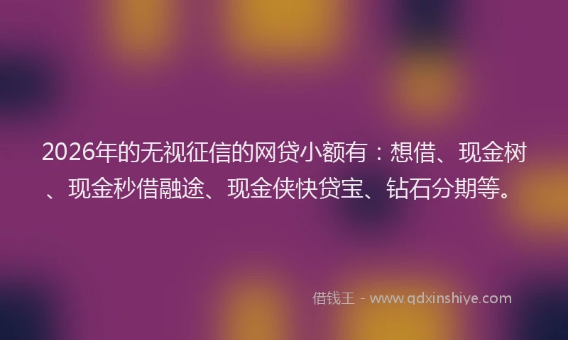 2026年的无视征信的网贷小额有：想借、现金树、现金秒借融途、现金侠快贷宝、钻石分期等。