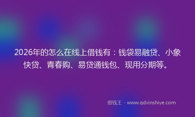 2026年的怎么在线上借钱有：钱袋易融贷、小象快贷、青春购、易贷通钱包、现用分期等。