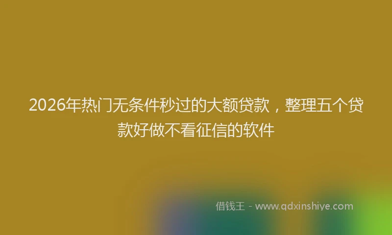 2026年热门无条件秒过的大额贷款，整理五个贷款好做不看征信的软件