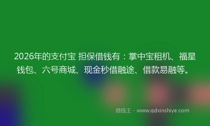 2026年的支付宝 担保借钱有：掌中宝租机、福星钱包、六号商城、现金秒借融途、借款易融等。