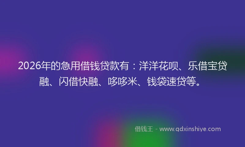2026年的急用借钱贷款有：洋洋花呗、乐借宝贷融、闪借快融、哆哆米、钱袋速贷等。