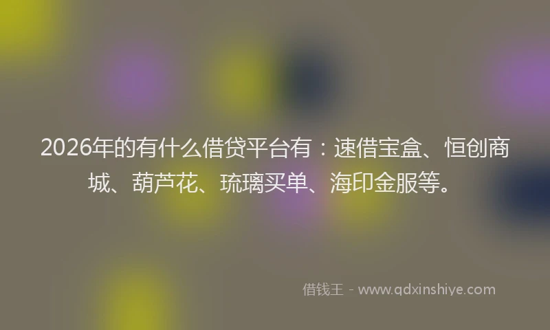2026年的有什么借贷平台有：速借宝盒、恒创商城、葫芦花、琉璃买单、海印金服等。