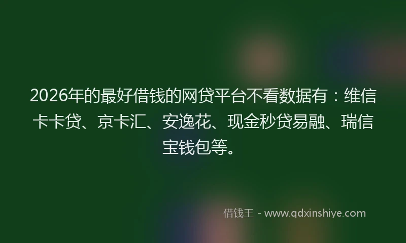 2026年的最好借钱的网贷平台不看数据有：维信卡卡贷、京卡汇、安逸花、现金秒贷易融、瑞信宝钱包等。