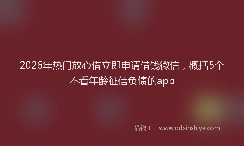 2026年热门放心借立即申请借钱微信，概括5个不看年龄征信负债的app