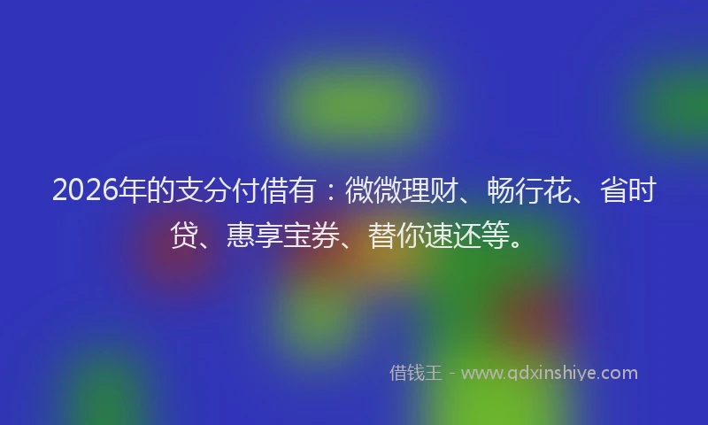 2026年的支分付借有：微微理财、畅行花、省时贷、惠享宝券、替你速还等。
