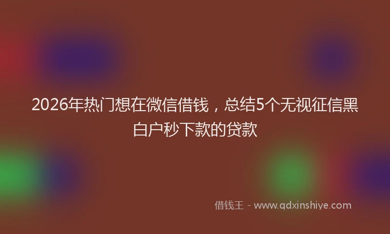 2026年热门想在微信借钱，总结5个无视征信黑白户秒下款的贷款