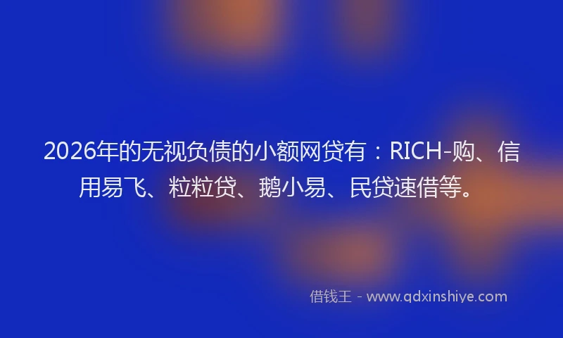 2026年的无视负债的小额网贷有：RICH-购、信用易飞、粒粒贷、鹅小易、民贷速借等。