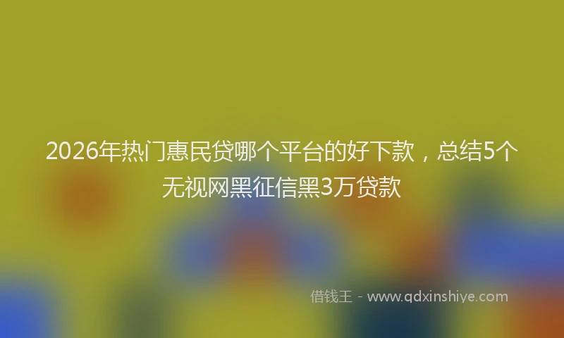 2026年热门惠民贷哪个平台的好下款,总结5个无视网黑征信黑3万贷款