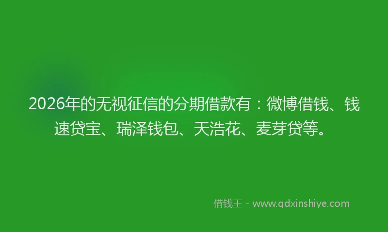 2026年的无视征信的分期借款有：微博借钱、钱速贷宝、瑞泽钱包、天浩花、麦芽贷等。