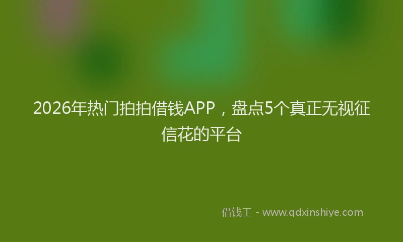 2026年热门拍拍借钱APP，盘点5个真正无视征信花的平台
