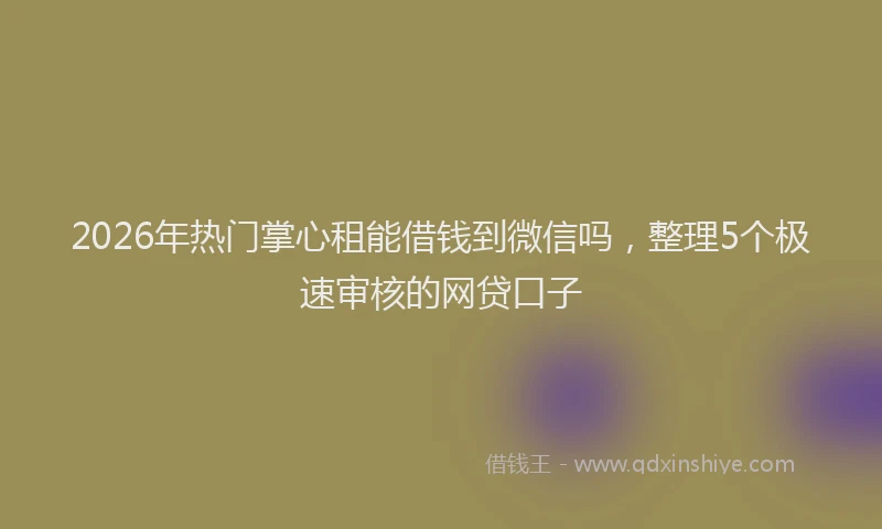 2026年热门掌心租能借钱到微信吗，整理5个极速审核的网贷口子