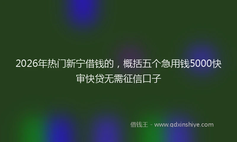 2026年热门新宁借钱的，概括五个急用钱5000快审快贷无需征信口子