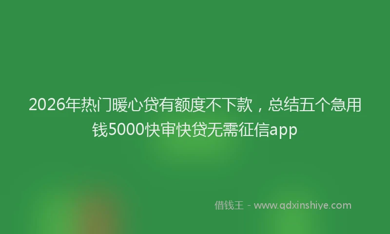 2026年热门暖心贷有额度不下款，总结五个急用钱5000快审快贷无需征信app