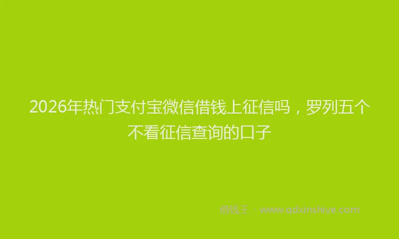 2026年热门支付宝微信借钱上征信吗，罗列五个不看征信查询的口子