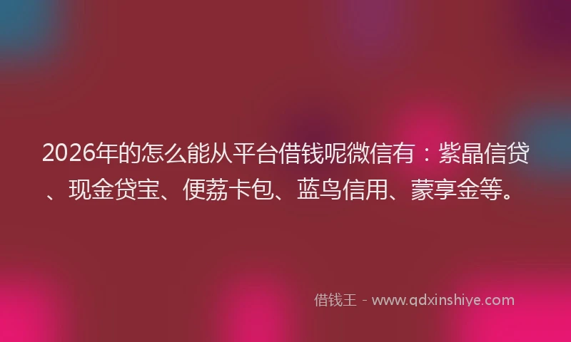 2026年的怎么能从平台借钱呢微信有：紫晶信贷、现金贷宝、便荔卡包、蓝鸟信用、蒙享金等。