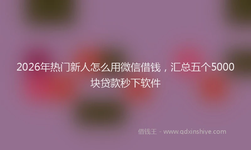 2026年热门新人怎么用微信借钱，汇总五个5000块贷款秒下软件