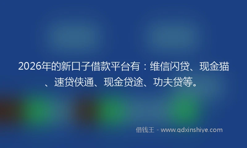 2026年的新口子借款平台有：维信闪贷、现金猫、速贷侠通、现金贷途、功夫贷等。