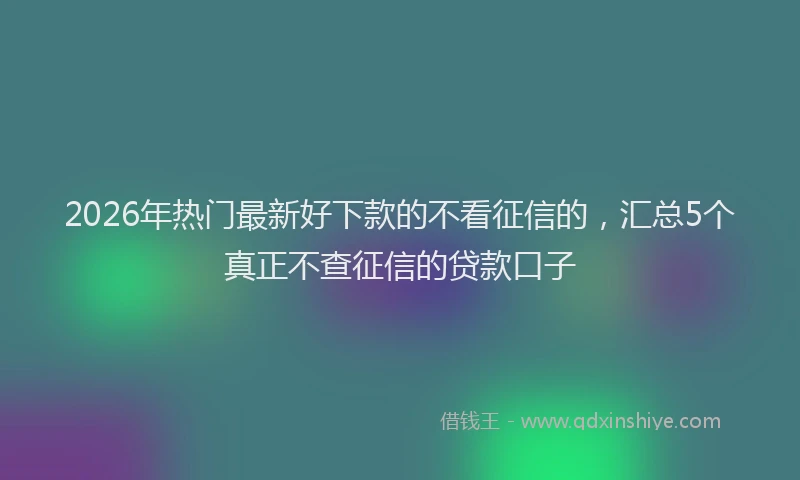 2026年热门最新好下款的不看征信的，汇总5个真正不查征信的贷款口子