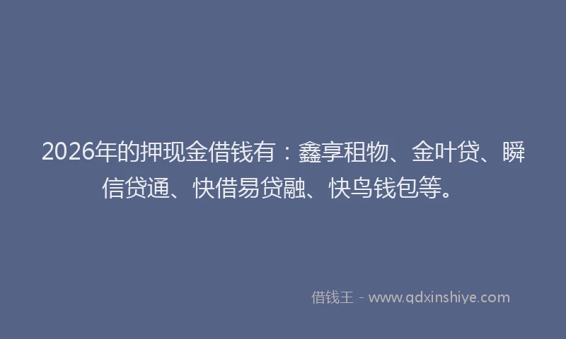 2026年的押现金借钱有：鑫享租物、金叶贷、瞬信贷通、快借易贷融、快鸟钱包等。
